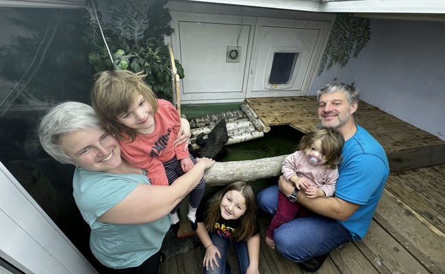 Statt Hund und Katz: Schlangen im Flur und Krokodile im Keller