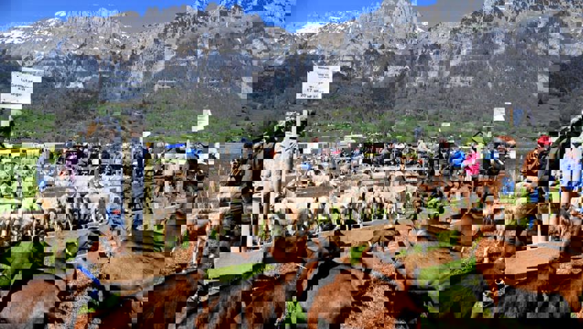  18. April: Die Ziegenzucht-Genossenschaft Gams feiert mit einem Jahr Verspätung ihr 125-Jahr-Jubiläum. 280 Tiere werden an der Jubiläumsschau aufgeführt. 