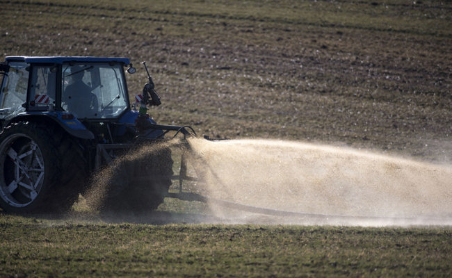 Kantonsgericht senkt Rekordstrafe für Rheintaler Gemüsebauern wegen Gewässerverschmutzung deutlich