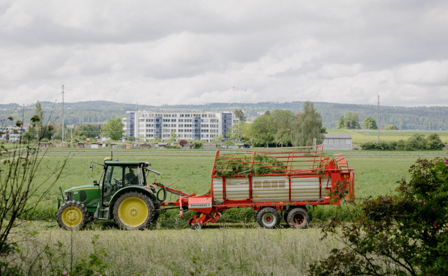 Von Wildbienen und Segelfliegern: Der Kampf um Artenvielfalt