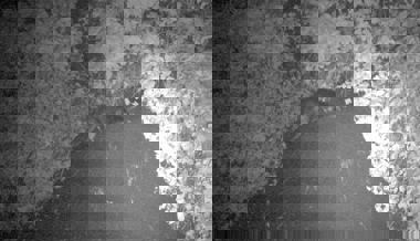 Erster Fischotter-Nachweis im Kanton St.Gallen seit 49 Jahren