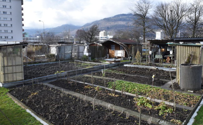 Leserbrief: Kleinpflanzer findet «Struktura 24» überflüssig und nicht überfällig