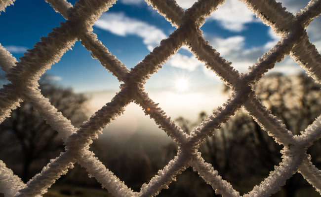 Lattenzaundrama endet vor Gericht mit Happyend: Seniorin bleibt ohne Vorstrafe