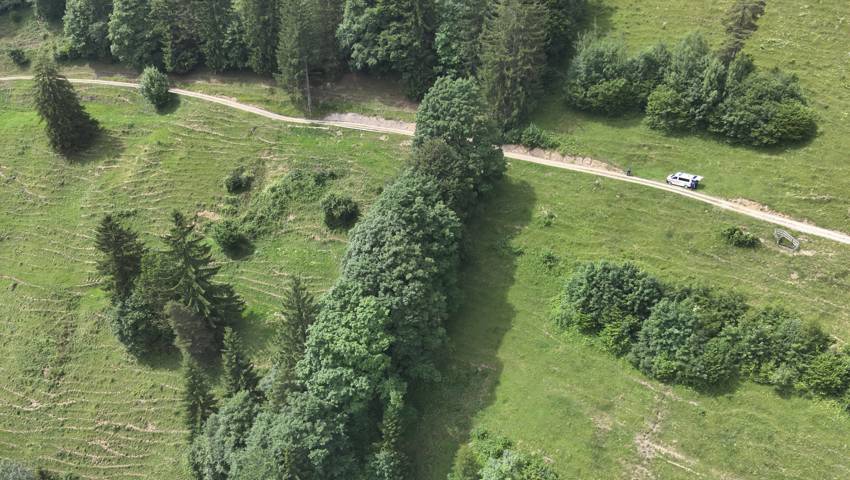 Hier geriet der 65-Jährige Autofahrer von der Alpstrasse ab. Hier geriet der 65-Jährige Autofahrer von der Alpstrasse ab.