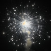 Ein Verbot von Feuerwerk wird erwogen