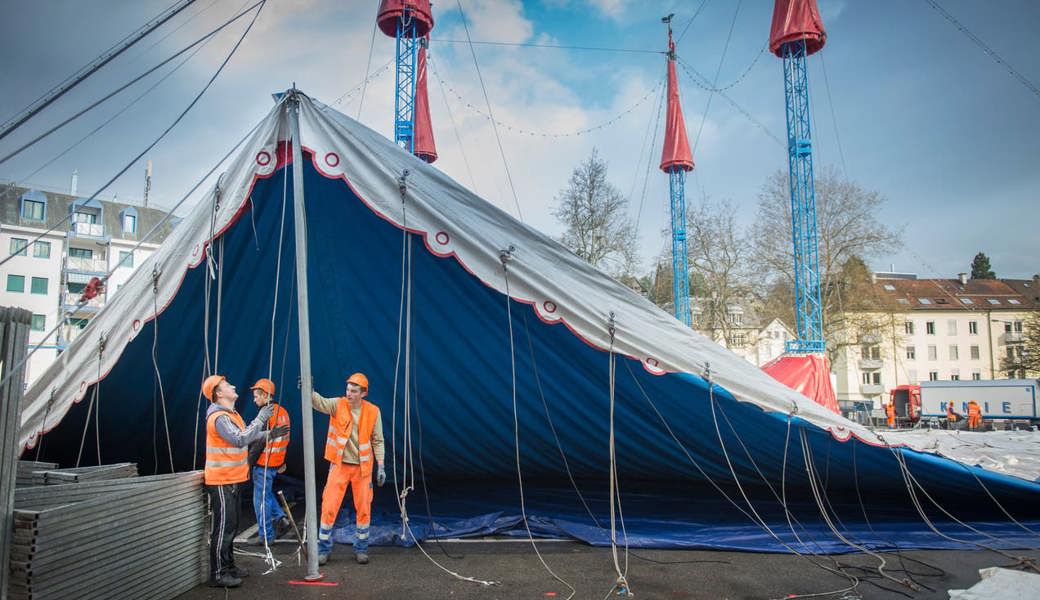 «Das ist für uns ein Schock» – der Circus Knie droht, die Stadt St.Gallen von der Tourneeliste zu streichen