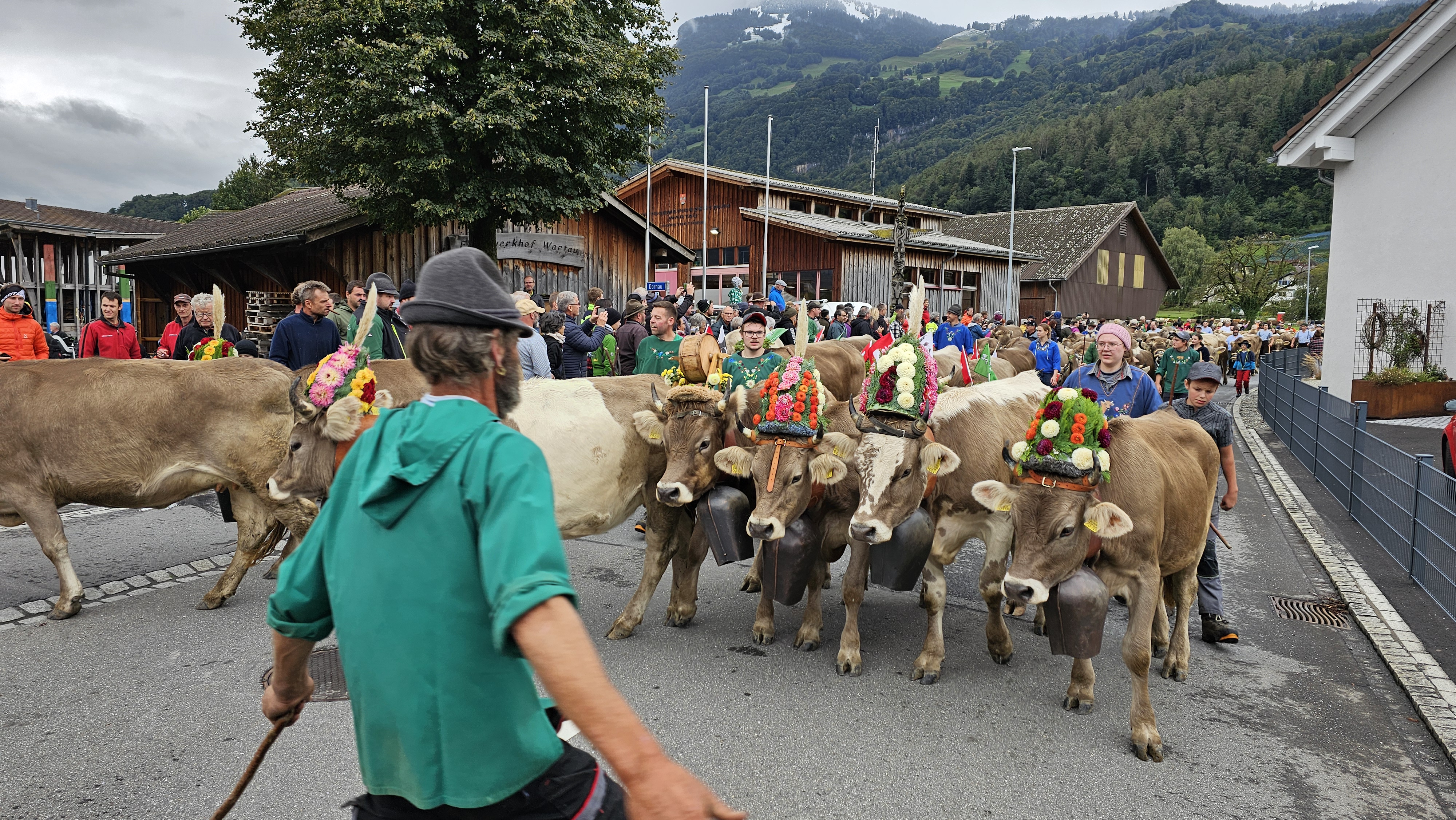 Auch das Vieh von der Alp Palfries ist jetzt im Tal