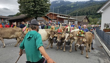 Auch das Vieh von der Alp Palfries ist jetzt im Tal