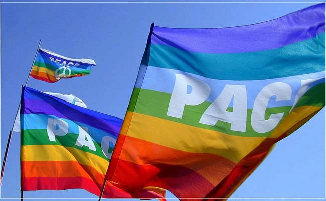 «Freuen uns über jede Person»: Auf dem Bodensee-Friedensweg versammeln sich Menschen aus drei Ländern