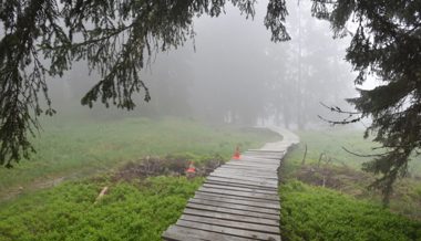 Mountainbiker begibt sich in Laax auf gesperrte Piste, stürzt und verletzt sich schwer