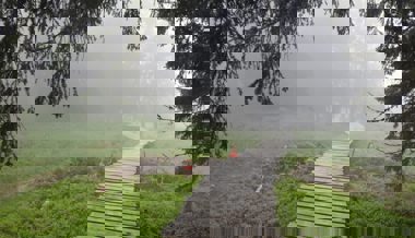 Mountainbiker begibt sich in Laax auf gesperrte Piste, stürzt und verletzt sich schwer