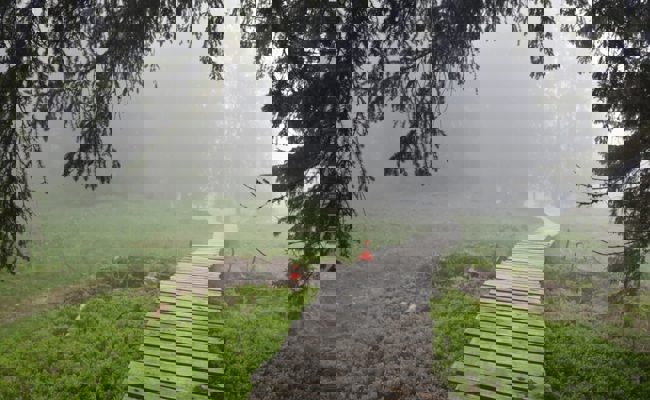 Mountainbiker begibt sich in Laax auf gesperrte Piste, stürzt und verletzt sich schwer