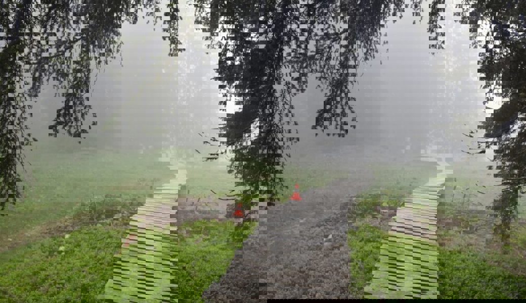  Auf dieser Strecke verunfallte der 31-jährige Mann schwer. 