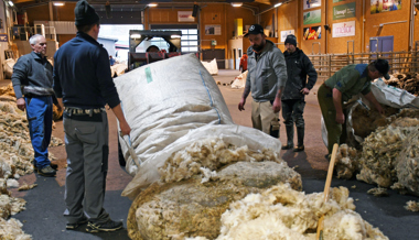 Zwischen Wollbergen und Warteschlange