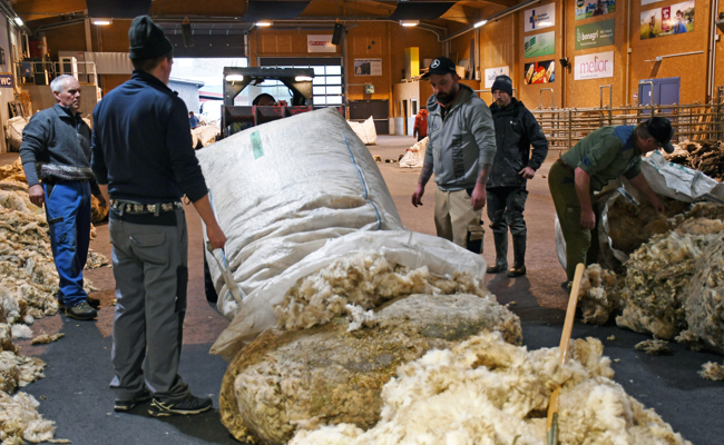 Zwischen Wollbergen und Warteschlange