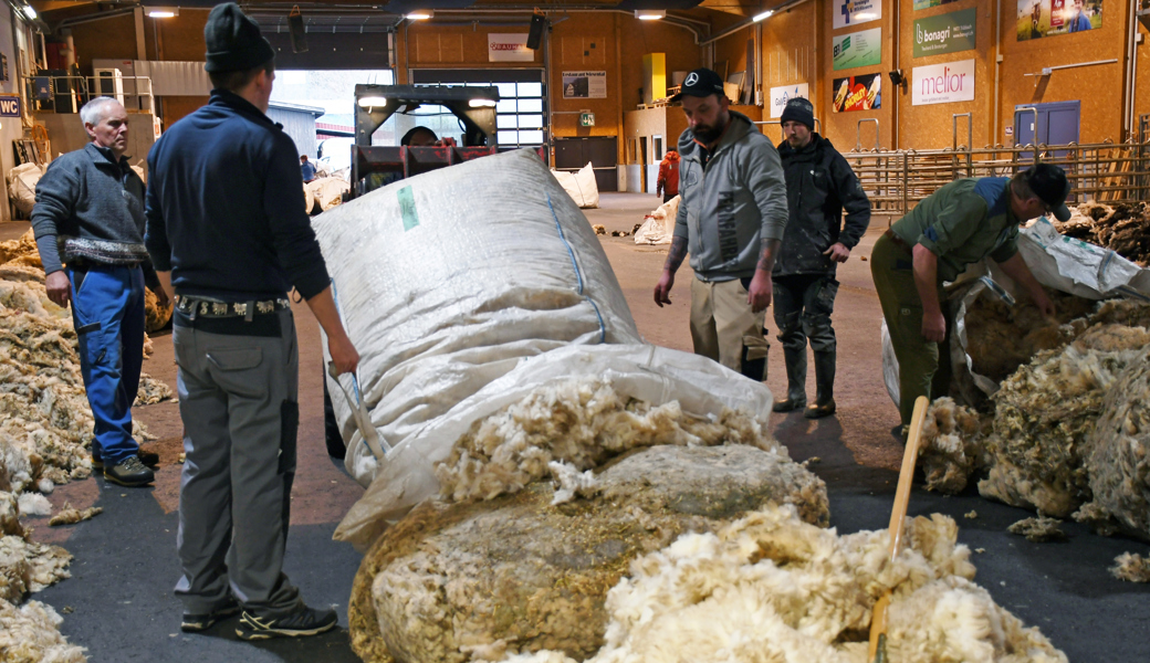 Zwischen Wollbergen und Warteschlange