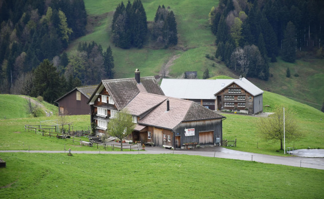 30 Kaufinteressierte buhlen um den Hof Barenegg in Hemberg – im Juli fällt der Entscheid