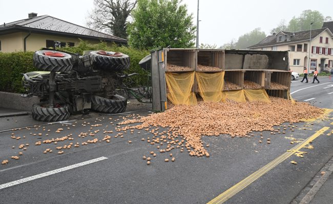 Wegen Vortrittsmissachter: Traktor kippt samt Anhänger voller «Hörpfel»