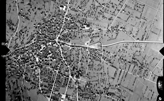 Streuobstwiesen verschwinden kontinuierlich: Obstbaumaktion soll dagegen helfen