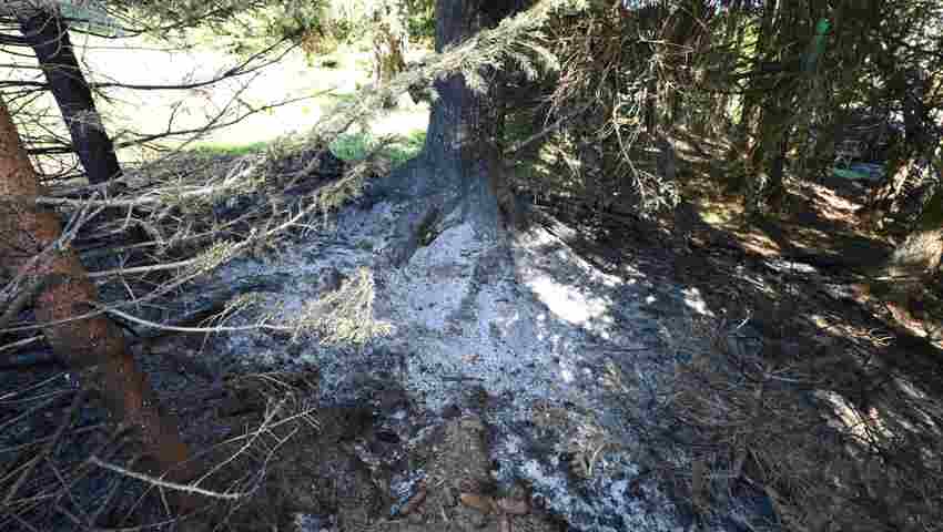 Der Brand zog auch die Vegetation in der Umgebung in Mitleidenschaft.