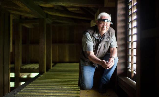 Ein Herz für Vögel: Martin Kögler will die Wälder jubeln hören