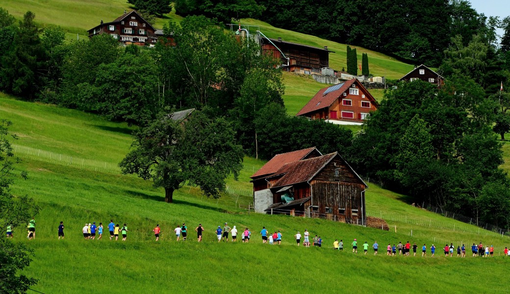 Die Läuferinnen und Läufer kämpfen sich den Berg hoch.