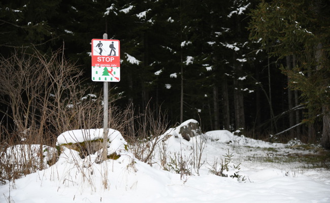 Neues Waldreservat und Wasserversorgung Gamperfin im Fokus