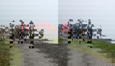 Mensch und Vieh sind sicher von der Alp Tesel zurückgekehrt