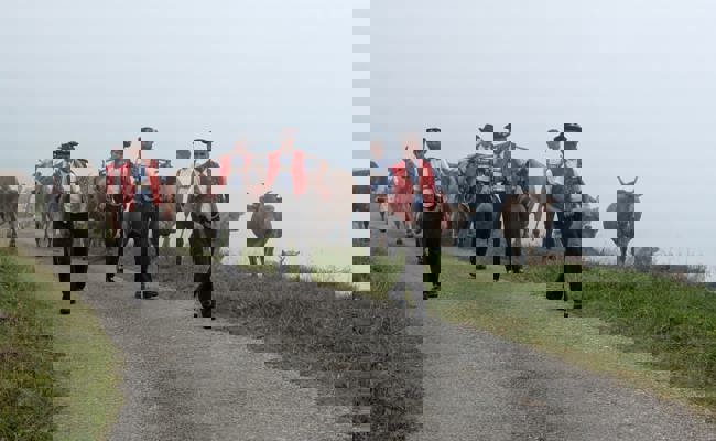 Mensch und Vieh sind sicher von der Alp Tesel zurückgekehrt