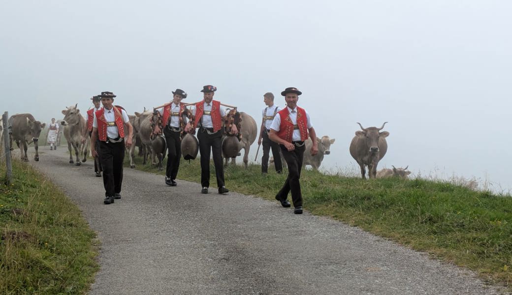 Mensch und Vieh sind sicher von der Alp Tesel zurückgekehrt