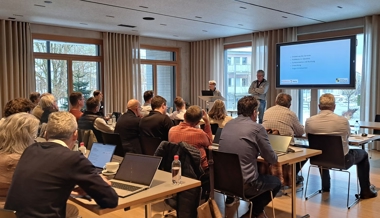 Wachstum kommt primär von lokalen Unternehmen