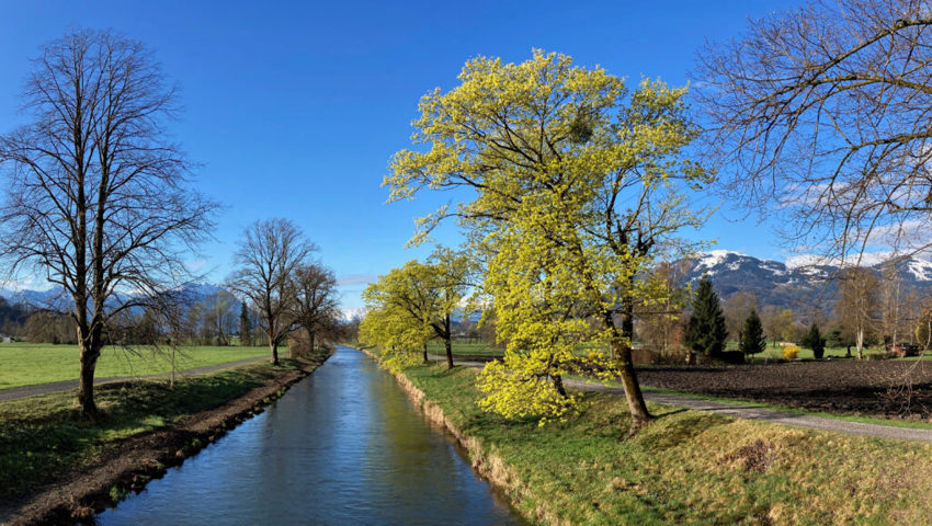  Am Rheintaler Binnenkanal soll die Hochwassersicherheit erhöht werden. 