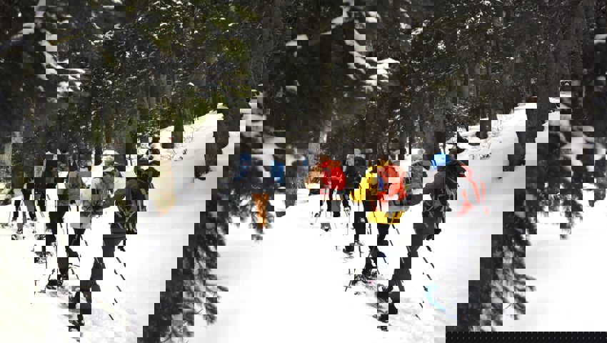  Durch eine der zwei Korridore durch das Wildschutzgebiet geht es hoch, über die Baumgrenze. 