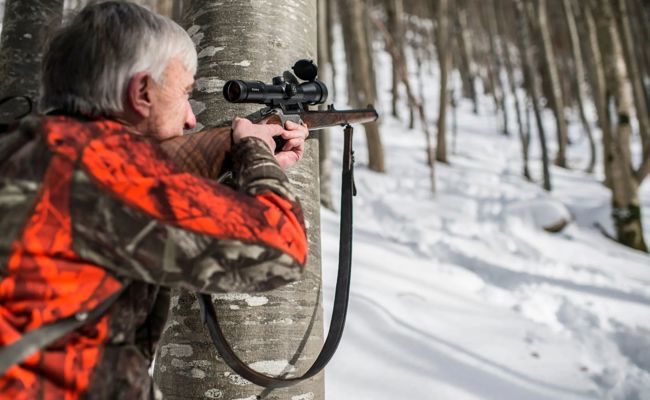 Jagdsaison: Herausforderungen und Erfolge in Toggenburger Wäldern