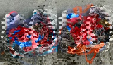 Drei Pensionierte haben Unmengen von Robidog-Säcklein aus dem Mühlbach gefischt