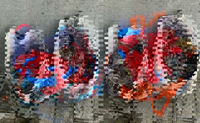 Drei Pensionierte haben Unmengen von Robidog-Säcklein aus dem Mühlbach gefischt