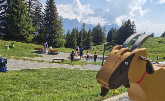 Freisprüche im Heidipfad-Prozess: Wanderer handeln eigenverantwortlich