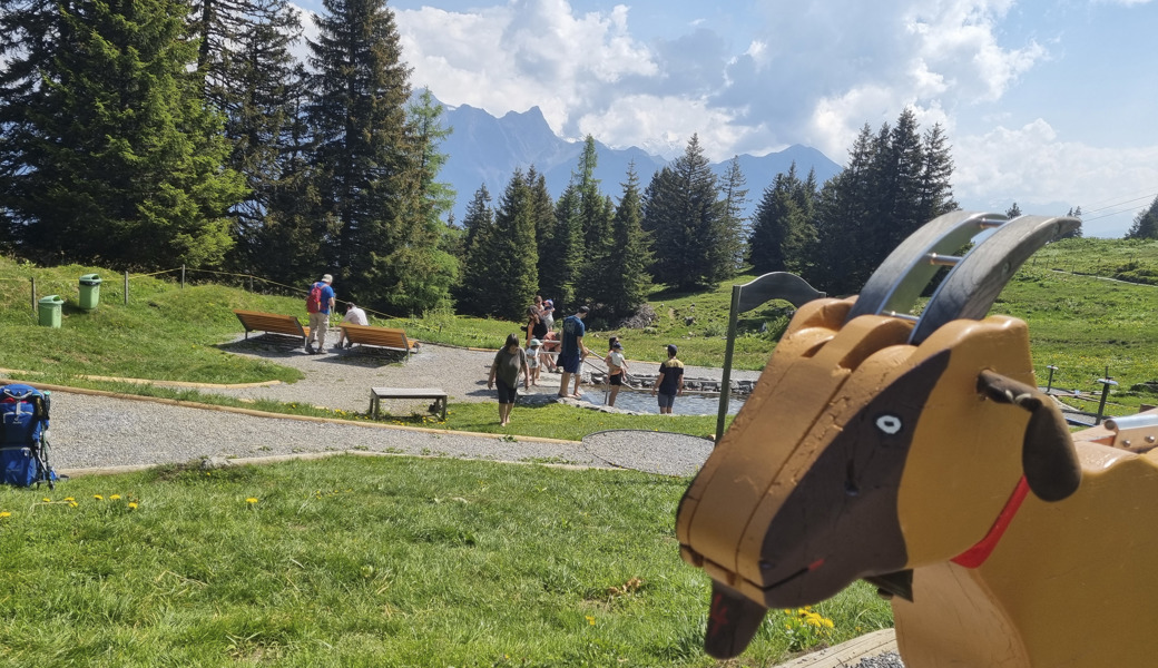 Im Juli 2016 kam es auf dem Heidipfad am Pizol zum schweren Unfall. Zehn Jahre später fällt das Kreisgericht ein Urteil.