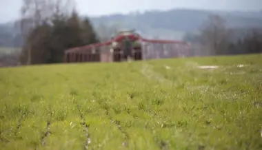 «Sparübungen auf dem Buckel der Landwirtschaft»: Bauernverband wehrt sich gegen Kürzungen