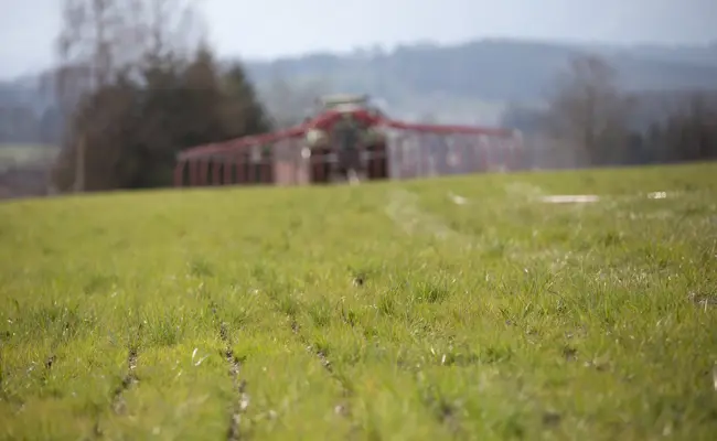 «Sparübungen auf dem Buckel der Landwirtschaft»: Bauernverband wehrt sich gegen Kürzungen