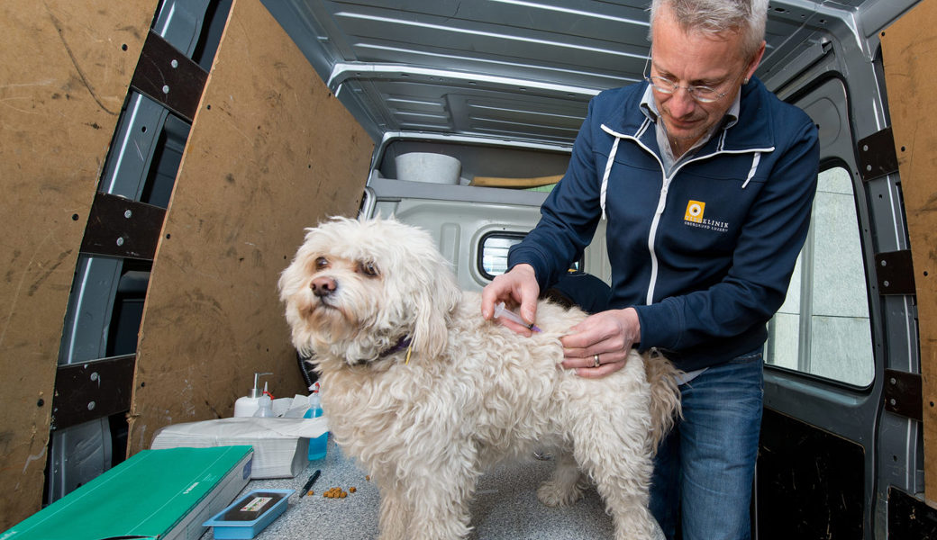  Hundehalterinnen und Hundehaltern wird dringend die Impfung ihres Tiers empfohlen. 