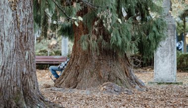 Ohne Geld, Handy und Dach über dem Kopf: Wie ein Obdachloser in St. Gallen über die Runden kommt