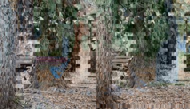 Ohne Geld, Handy und Dach über dem Kopf: Wie ein Obdachloser in St. Gallen über die Runden kommt