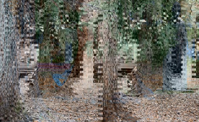 Ohne Geld, Handy und Dach über dem Kopf: Wie ein Obdachloser in St. Gallen über die Runden kommt