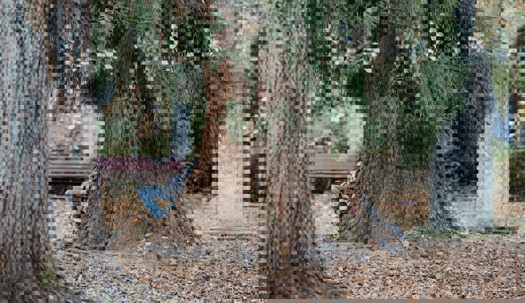 Ohne Geld, Handy und Dach über dem Kopf: Wie ein Obdachloser in St. Gallen über die Runden kommt