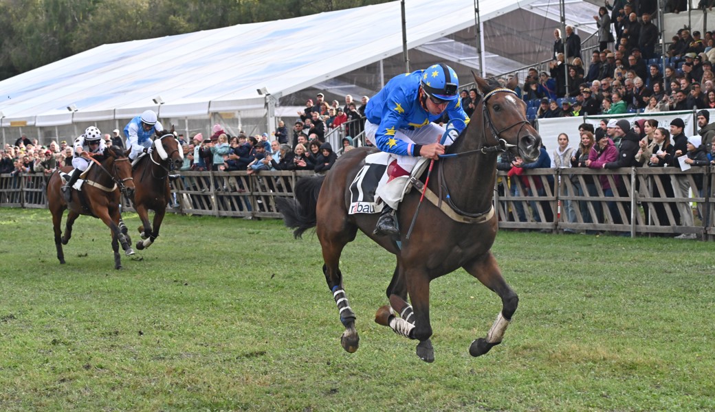 Erneut der König von Maienfeld: On your Mark mit Jürg Langmeier im Sattel gewinnt den Grossen Preis der Stadt Maienfeld.
