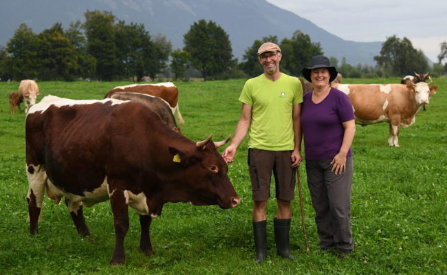 Pro & Contra Massentierhaltungsinitative: Wie leben Nutztiere in Zukunft?