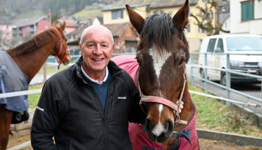Mit dem Ross zur Landi: «Auch ein Pferd will etwas erleben»