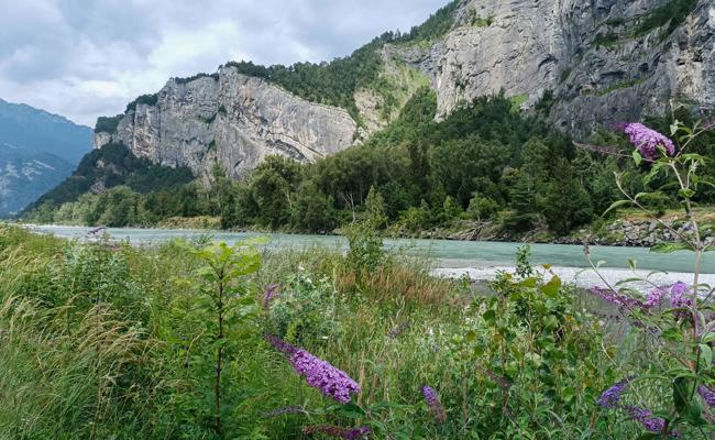 Mit dem Velo dem Rhein und der Landquart entlang bis Grüsch