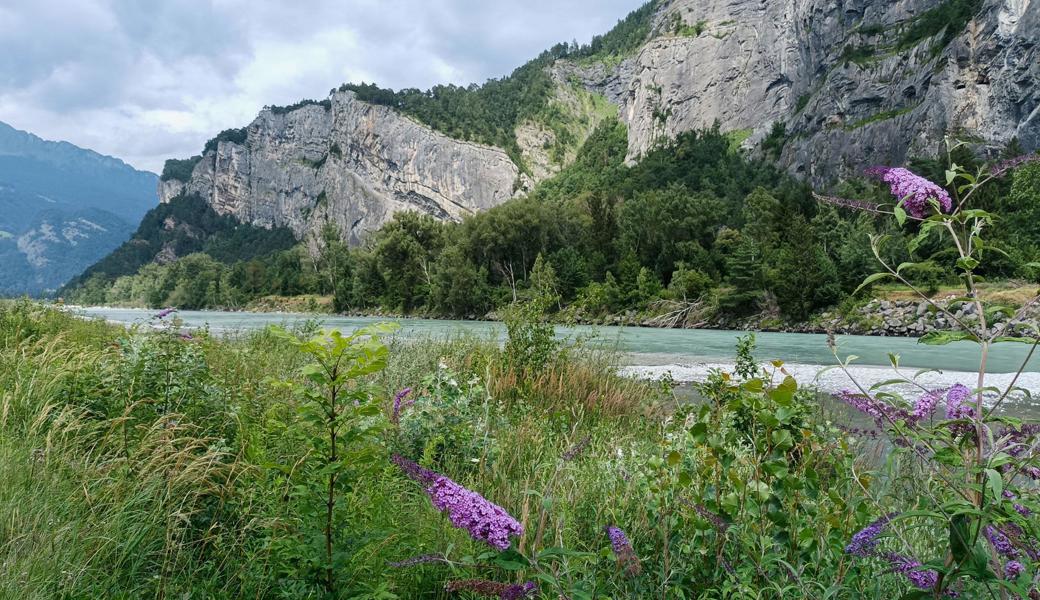 Mit dem Velo dem Rhein und der Landquart entlang bis Grüsch